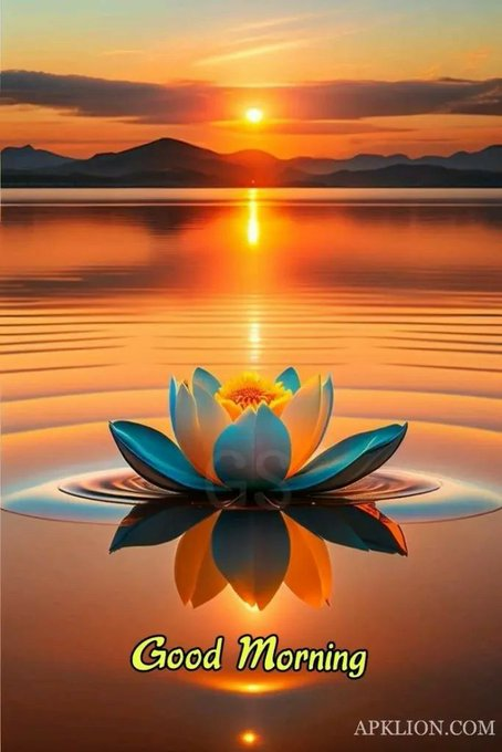 urn of water with a floating lotus flower, surrounded by mountains and sunset reflection on the water's surface.