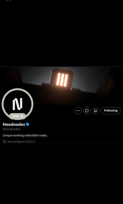 Twitter profile for 'Hoodnodez' (@hoodnodez) showing a logo with 'N', stating 'Unique working collectible nodez.' and 'Joined March 2023'.