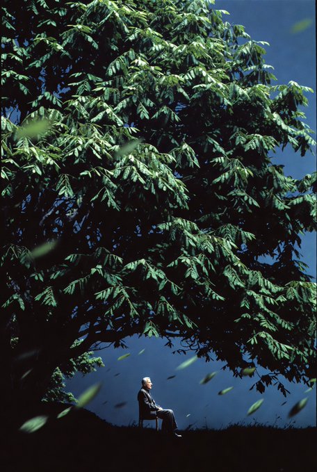 A solitary figure sits on a chair beneath a massive, dark green tree against a deep blue sky, with leaves swirling in the wind.