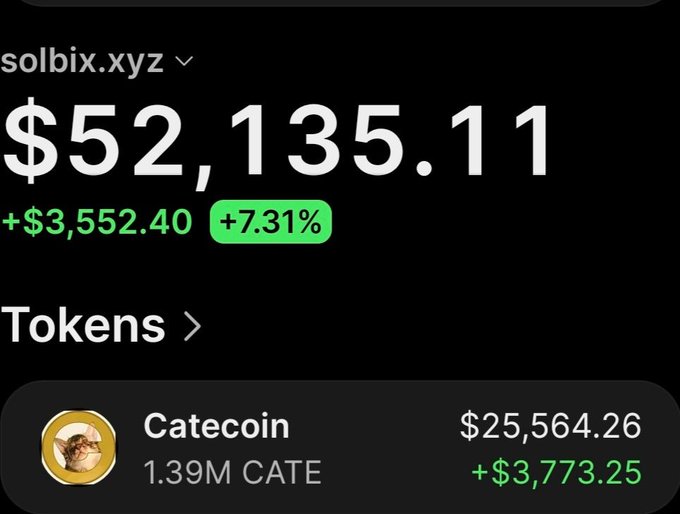A wallet tracker on solbix.xyz shows the address holds $52,135.11 total (+7.31%), including 1.39M Catecoin tokens valued at $25,564.26 (+$3,773.25), illustrating the claimed profit growth from the original $17,200 investment in $CATE.