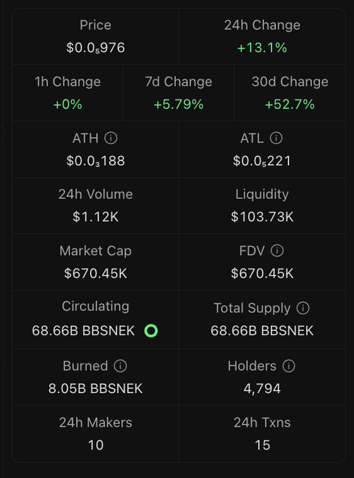 A cryptocurrency token statistics page showing price $0.0₅976, 13.1% 24h change, 52.7% 30d change, market cap $670.45K, with 68.66B BBSNEK circulating supply and 4,794 holders.