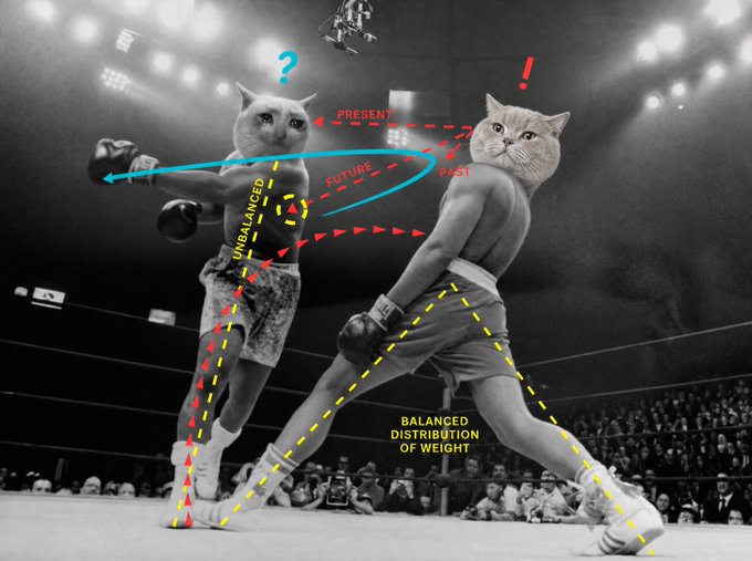 The post about $VRAX references the meme's caption "already knows what's coming," depicted by a boxing match between an unbalanced, confused cat (red) and a poised, balanced cat (yellow) who appears to anticipate the future with certainty. The image symbolizes foresight and preparedness, suggesting $VRAX is positioned ahead of the competition.