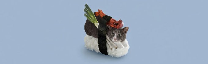 A cat dressed as a piece of sushi (nigiri-style with rice and seaweed wrap) is shown on a light blue background, visually representing the "SushiCat" project mentioned in the post about the upcoming meme token launch and buyback initiative.