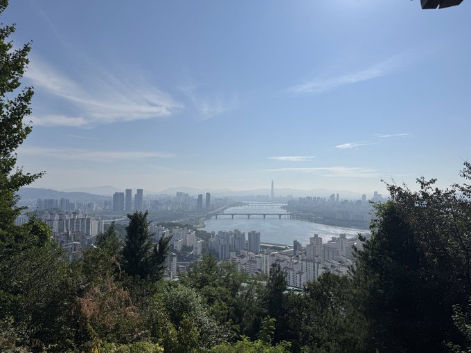 A scenic view of a city skyline across a river, featuring a tall prominent tower and multiple bridges, framed by lush green trees in the foreground under a clear blue sky.