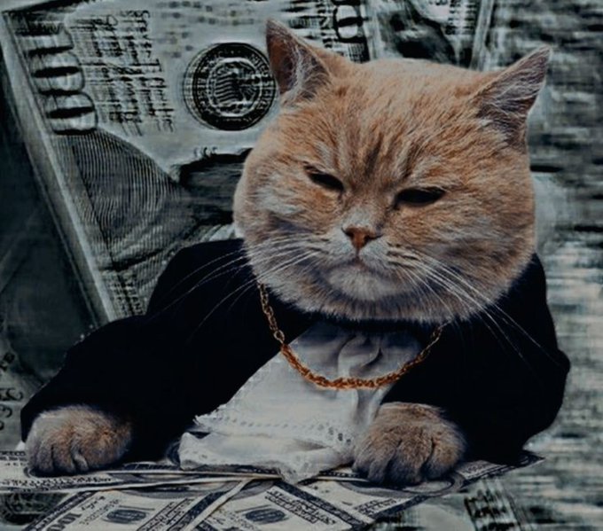An orange cat wearing a black suit jacket and gold chain lounges on a bed of $100 bills, exuding the "Boss Cat" vibe of a wealthy mogul. The image humorously represents the financial ambition of earning 4 figures from NFTs and deals in September goals.