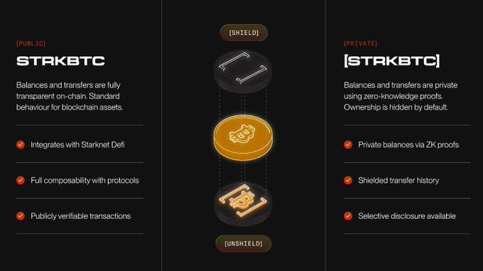 An infographic comparing '[STRAKBTC]' public and private features, highlighting Starknet DeFi integration versus zero-knowledge proof privacy.