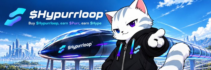 The banner features the "$Hypurrloop" branding with the tagline "Buy $Hypurrloop, earn $Purr, earn $Hype," displayed alongside a futuristic anthropomorphic white cat character in a hoodie, set against a sci-fi cityscape with a sleek hyperloop train. This visually represents the Solana token $HYPURRLOOP, tying into the post about a community member adding this banner for the project on Moby.