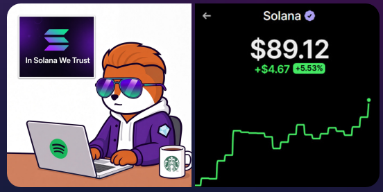 A cartoon image featuring a cool cat character with sunglasses working on a laptop, with "In Solana We Trust" text and a Solana crypto chart showing $89.12 (+$4.67, +5.53%).