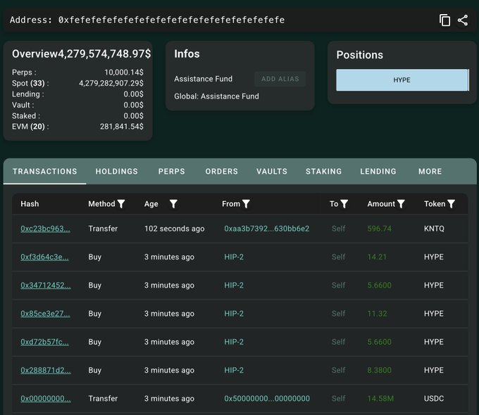 A cryptocurrency wallet dashboard for address '0xfefefefefe...' shows an Overview balance of '4,279,574,748.97$' with 10,000.14$ in Perps and a large Spot (33) balance, along with a transaction history featuring recent purchases of HYPE token.