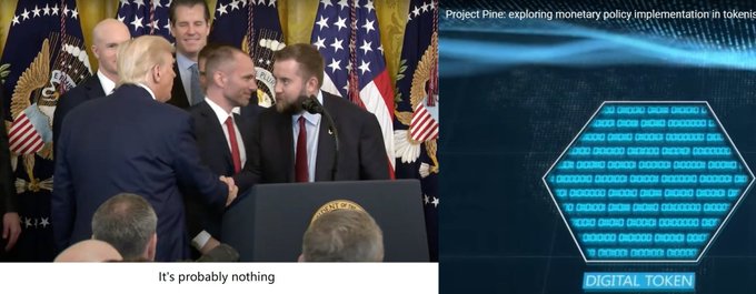 A split image shows Trump shaking hands at a podium on the left with the caption "It's probably nothing," alongside a "Project Pine" digital token graphic on the right.