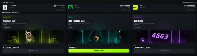 A crypto mystery box website displaying featured boxes including 'CashCat Box', 'Dog In Hood Box', and '4663 Box', with token balances shown for CARMCAT, CHI, and 4663 at the top.