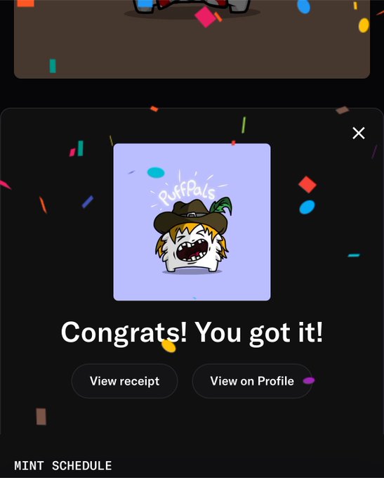 A digital celebration screen with confetti displays a cartoon character wearing a pilgrim hat, captioned 'Congrats! You got it!' with options to 'View receipt' and 'View on Profile,' along with 'MINT SCHEDULE' at the bottom.