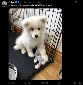 A Twitter/X post by 'Cobie' (@cobie) from Jan 28, 2019, captioned 'Is there a cuter dog than Dustin? If so prove it', shows an adorable white Samoyed puppy sitting in a crate next to a small gray stuffed bunny toy.