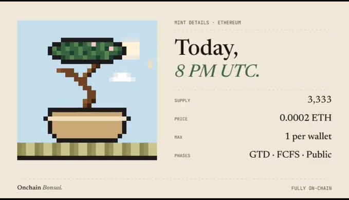 The image features a small bonsai tree sitting inside a brown pot, placed on a table or countertop. The text displayed next to the bonsai reads "Today, 8 PM UTC." This information suggests that the bonsai is part of an online giveaway for a digital coin called GTD Mint. The post also mentions that there are mint details available and encourages users to follow @onchainbonsai or @amarisazuki to learn more about this coin.