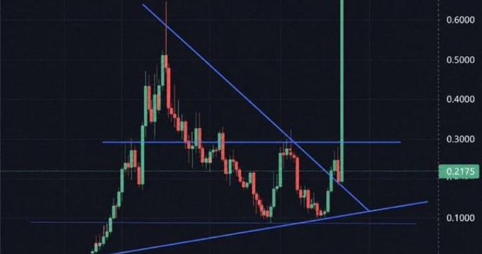 A cryptocurrency or stock candlestick chart shows a highly volatile asset trading around $0.2175, with a descending trendline forming a tightening wedge/symmetrical triangle pattern that suggests a potential breakout. The post's grandiose promise of "1000x" returns contrasts humorously with the chart's risky technical setup and the precarious-looking price action still far below its $0.60 high.
