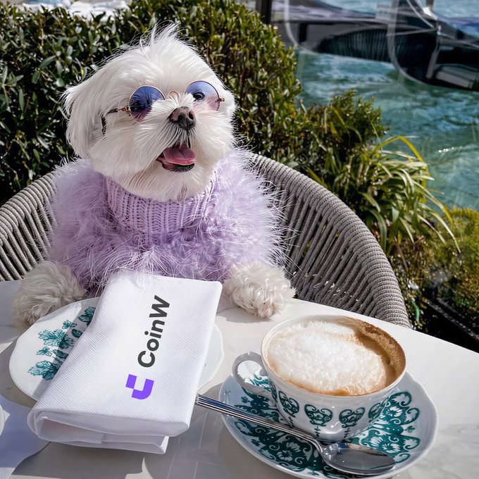 A fluffy white dog wearing purple-tinted sunglasses and a fuzzy lavender sweater sits at a waterfront café table, posing with a frothy cappuccino and a napkin printed with the "CoinW" logo and text. The image humorously visualizes the post's joke—a crypto investor's dog celebrating 100x gains by treating itself to a luxurious coffee break.