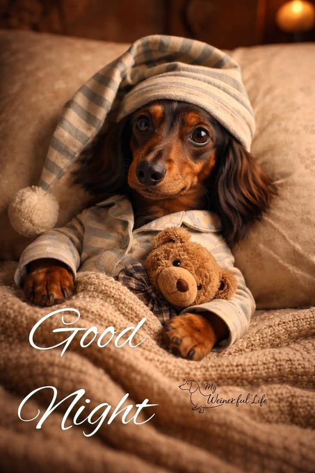 The image features a dog wearing pajamas with a teddy bear on its lap while laying down on a bed, accompanied by the text "Good night" written below it. The photo also includes an overlay of the words "Goog night friends! Happy Friday." and "@Allbridge_io eliminates the hassle of transferring crypto between networks. Simply send assets between Ethereum, Solana, BNB Chain, and other blockchains".