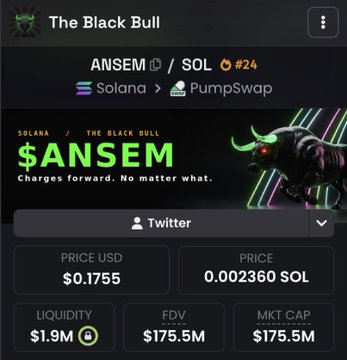 A screenshot of the Solana-based token $ANSEM ("The Black Bull") on PumpSwap, showing a price of $0.1755 USD, a $1.9M liquidity pool, and a $175.5M market cap, which appears to be one of the cryptocurrency calls referenced in the post highlighting massive multiplier gains.