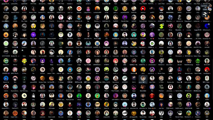 A dense grid of hundreds of small circular user avatars and profile pictures with usernames labeled beneath each, displayed on a dark background. The image appears to be a screenshot from a Discord or Telegram community, representing the large group of developers and community members who have participated in Rialo (@RialoHQ) developer events over the past few months.