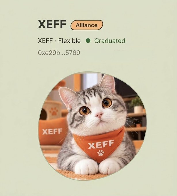 A profile card for XEFF token showing a gray and white cat wearing an orange bandana with the XEFF logo, marked as "Graduated" on the Alliance platform.