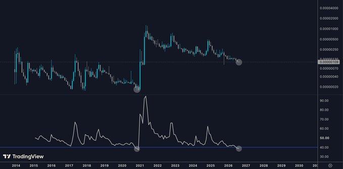 A TradingView candlestick chart spanning 2014 to 2030 shows a cryptocurrency's price action with an RSI-like indicator below; the RSI spiked to over 90 in 2021, with circles highlighting a low in 2020 and current levels around 0.00003370.