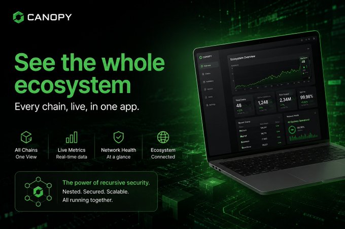 A promotional graphic for Canopy, a blockchain ecosystem dashboard, featuring the tagline 'See the whole ecosystem' and 'Every chain, live, in one app,' showing a laptop displaying metrics like 'Total Chains 48,' 'Total Events 1,248,' and 'Tokens Secured 2.34M.'