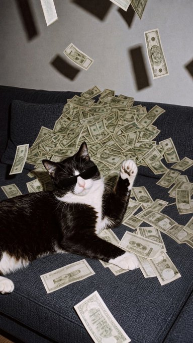 A black and white tuxedo cat wearing sunglasses lounging on a dark gray couch surrounded by scattered U.S. dollar bills, with money appearing to float in the air above.