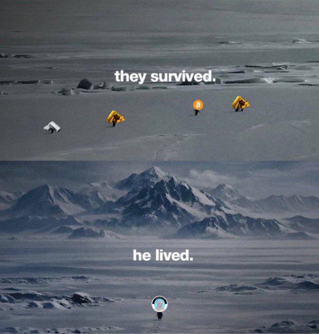 A two-panel meme showing yellow tent figures in a snowy/icy landscape with text 'they survived.' and 'he lived.', featuring a small character icon in the second panel with snow-capped mountains in the background.