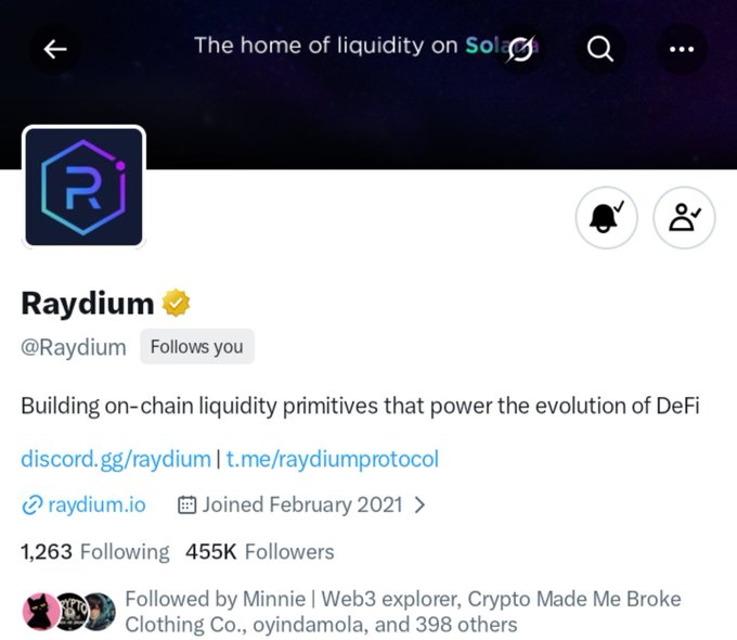 A Twitter/X profile for 'Raydium' (@Raydium) describes it as building on-chain liquidity primitives that power the evolution of DeFi on Solana, with 1,263 Following and 455K Followers.