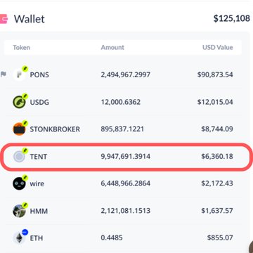 A cryptocurrency wallet screenshot showing a portfolio totaling $125,108, with a red box highlighting the 'TENT' token at 9,947,691.3914 valued at $6,360.18.