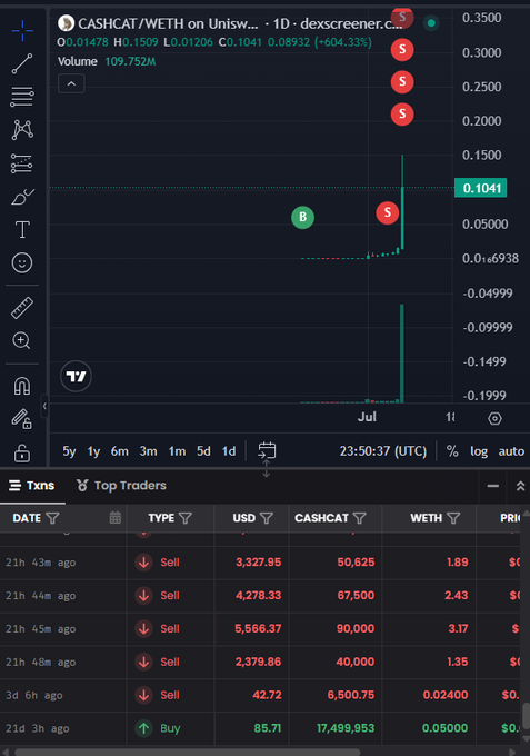 A TradingView chart of 'CASHCAT/WETH on Uniswap' showing a price spike around $0.1041 with a +604.33% gain, alongside a 'Top Traders' transaction list showing multiple large sell orders.
