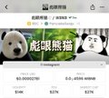 The image shows a TikTok shop product page featuring a "熊猫熊猫" (Panda Panda) plush toy priced at $376, with a green promotional banner reading "疯狂星期" (Crazy Day). The post references a viral TikTok meme about a panda, matching the product's panda theme.