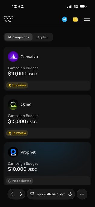The image shows a mobile screen displaying campaign applications on app.wallchain.xyz, with three campaigns listed: Convallax ($10,000 USDC) and Qzino ($15,000 USDC) both marked "In review," and Prophet ($10,000 USDC) marked "Not selected." This relates to the post confirming the user's application to the Qzino campaign, where they expect to find out tomorrow whether they were selected.