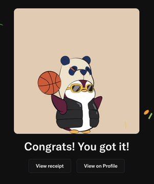 A congratulatory message reading 'Congrats! You got it!' beneath a cartoon illustration of a panda wearing sunglasses, a vest, and holding a basketball, with buttons to 'View receipt' and 'View on Profile'.