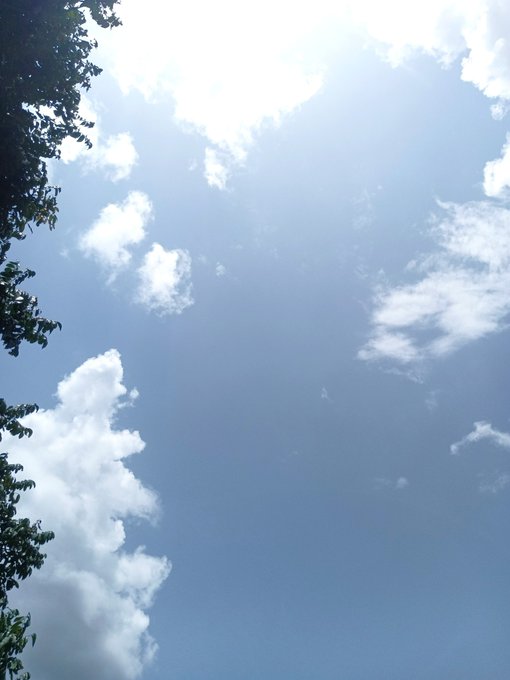 A photograph taken from below of a bright blue sky with scattered white clouds and the sun shining through, with dark green tree leaves visible in the upper left corner.