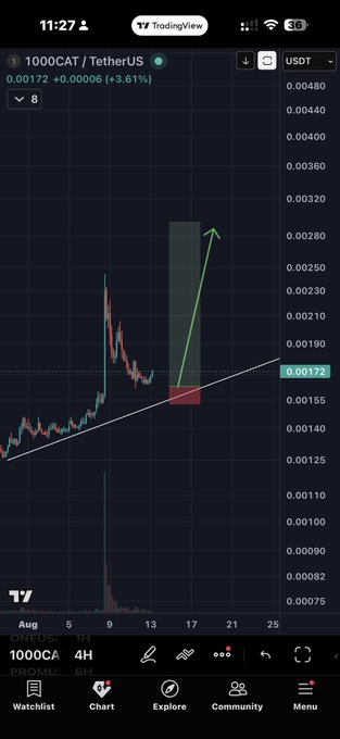 A TradingView 4H chart of the $1000CAT/USDT pair on BNB Chain at 0.00172 (+3.61%), with an upward green arrow and an ascending trendline highlighting a bullish breakout setup mirroring earlier giggly meme coin runs.