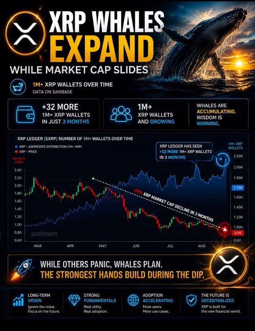 A crypto infographic titled "XRP WHALES EXPAND WHILE MARKET CAP SLIDES" shows charts indicating XRP wallet growth and a 29% market cap decline over 3 months, with the sentiment "While others panic, whales plan. The strongest hands build during the dip."