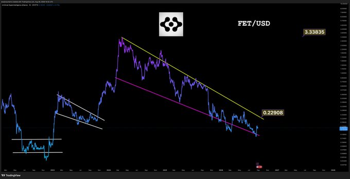 A TradingView candlestick chart for FET/USD displays a multi-year price decline from a high of 3.33835 to a low near 0.22908, with downward-sloping trendlines (yellow and magenta) highlighting the descending channel, while the most recent price action shows a bounce off horizontal support levels at the chart's right edge, consistent with the post's note of a "nice bounce on support."