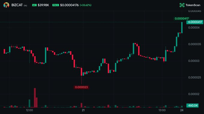 A candlestick chart for token BIZCAT shows a price of $39.98K with a gain of +33.62%, highlighting a low of 0.000023 and a recent high of 0.0000417.