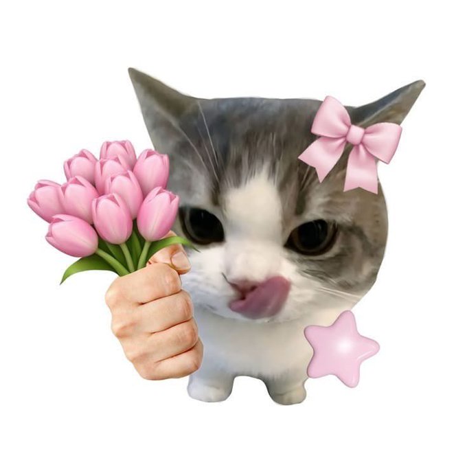 A cartoon cat with a pink bow on its ear sticks out its tongue while a human hand offers a bouquet of pink tulips, accompanied by a pink star graphic.