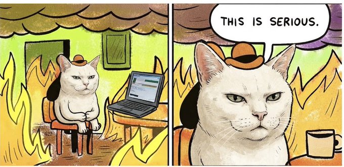 A two-panel comic showing a white cat wearing a small hat, sitting calmly at a laptop with flames around it, declaring 'THIS IS SERIOUS.' in a speech bubble.