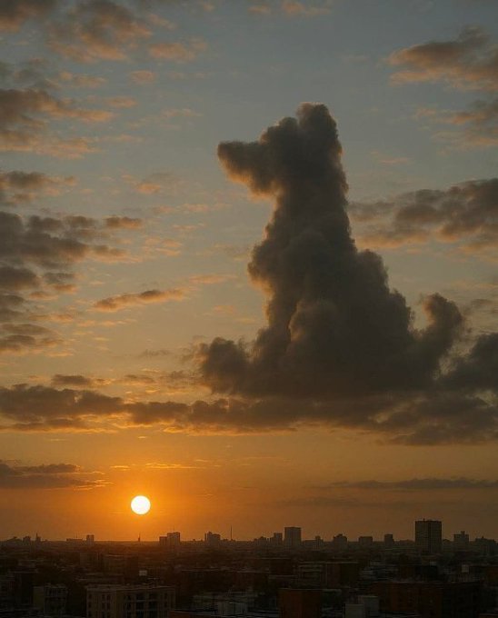A sunset view over a city skyline featuring a distinctive cloud formation that resembles the shape of a bear standing on its hind legs.