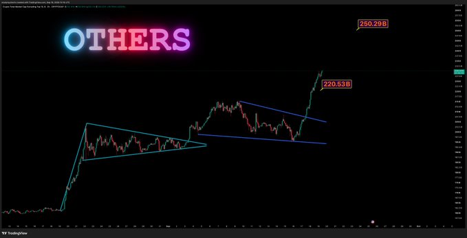A TradingView chart titled "OTHERS" displays a cryptocurrency price movement with two technical patterns marked in blue—a descending triangle and an ascending channel—highlighting a breakout from $220.53B toward a target of $250.23B, visually supporting the post's bullish prediction.