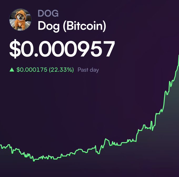 A cryptocurrency price tracking screen showing 'DOG Dog (Bitcoin)' at $0.000957, up 22.33% ($0.000175) in the past day, with the Shiba Inu dog mascot logo.