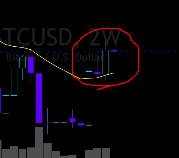 A 2-week candlestick chart of BTCUSD (Bitcoin/U.S. Dollar) shows a bullish engulfing pattern circled in red, where a large green candle completely engulfs the preceding small purple candle, visually confirming the post's claim of BTC securing its 4th-ever bullish engulfing candlestick.