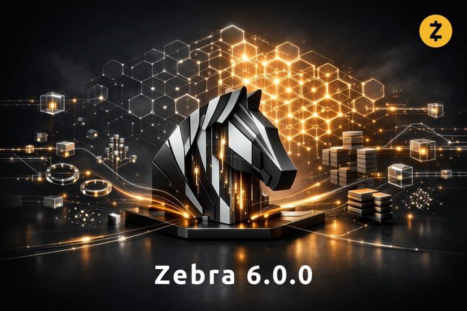 A digital promotional graphic for 'Zebra 6.0.0' featuring a stylized black and white zebra head logo set against a glowing orange hexagonal network background with a 'Z' icon in the top right.
