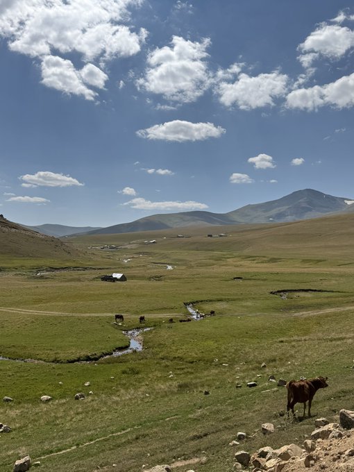 A scenic landscape showing a vast green valley with grazing cows, a winding stream, rolling hills, and a bright blue sky filled with scattered clouds.