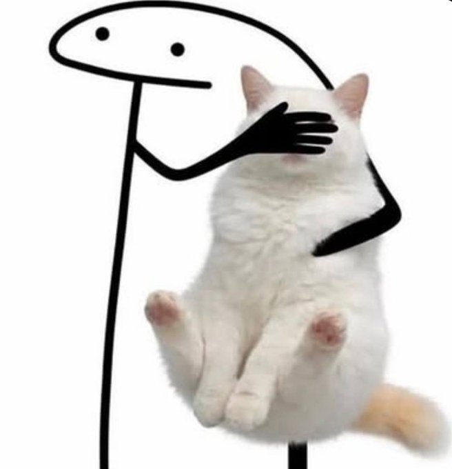 A stick figure covers the eyes of a wide-eyed white cat with its hand, evoking the "I see nothing" meme. This perfectly illustrates the poster's willful ignorance about closing crypto longs while opening new risky positions on $CL, $QQQ, and $NVDA.