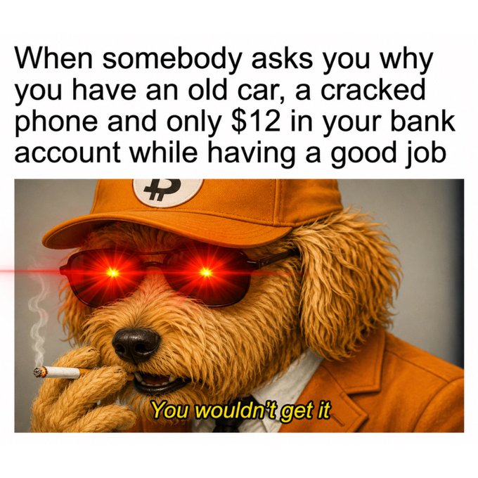 A meme featuring a fluffy dog wearing an orange cap, red laser sunglasses, and smoking a cigarette, with text above reading 'When somebody asks you why you have an old car, a cracked phone and only $12 in your bank account while having a good job' and 'You wouldn't get it' below.