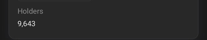 The image displays "Holders: 9,643" on a dark background, showing the current holder count for $Sunusi, which contextualizes the poster's excitement about the token's rapid price surge from $300k to $3m driven by an active and engaged community.